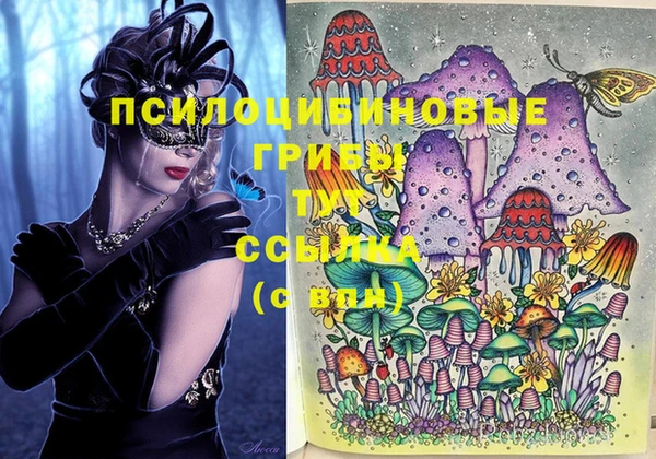 гидра Алзамай