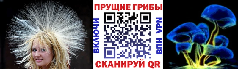 Галлюциногенные грибы MAGIC MUSHROOMS  Аргун 