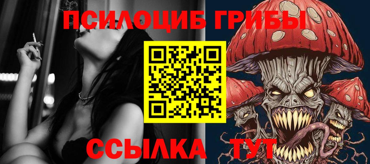 Галлюциногенные грибы прущие грибы  Вход с VPN  Аргун 